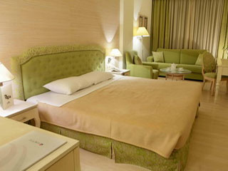 Alexandros Hotel Athens Guestroom