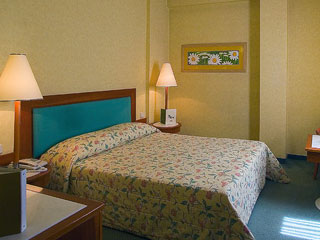 Alexandros Hotel Double Room