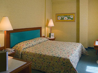 Alexandros Hotel Double Room