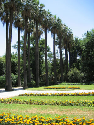 athens national garden 