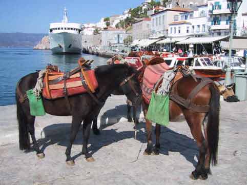 hydra donkey rides